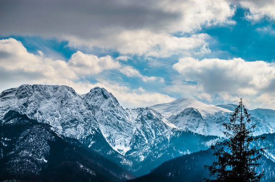 Fototapeta Winter mountains panorama of Zakopane,  High Tatra Mountains, Poland