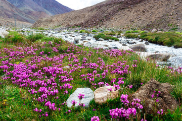 Natural landscape in Leh Ladakh