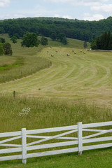 farm with fence