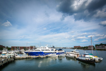 Fototapeta na wymiar View of a marina in the Charles River, in Charlestown, Boston, M