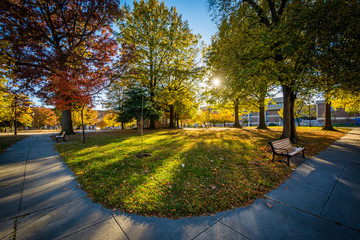 Walkway and autumn color at Franklin Square Park, in Baltimore,