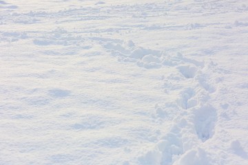 Close up of footmarks in fresh snow
