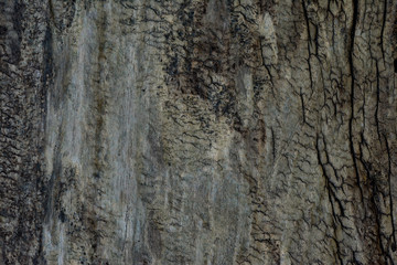 古い木の表面　背景素材
