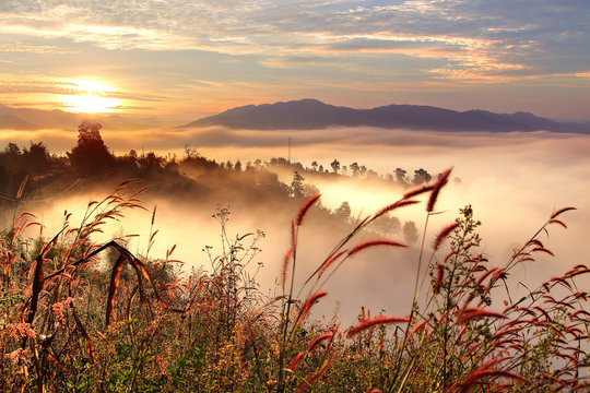 Beautiful scenery during sunrise with the mist at Ban Huay Kon ,Chaloem Phra Kiat district ,Nan province in Thailand is a very popular for photographer and tourists. Attractions and natural Concept