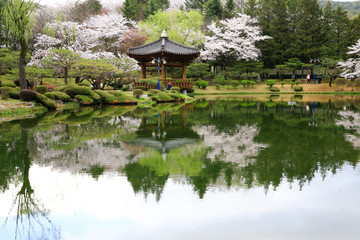 경주 보문정의 봄