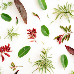 red and green petals and leaf pattern on white background. flat lay.