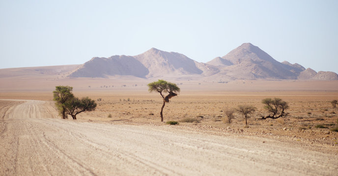 road in Namibia