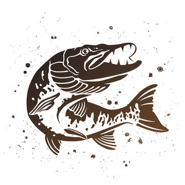 Vector Predatory pike. The stylized image of fish.
