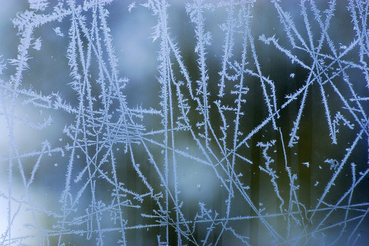 ice flower crystal on window in winter morning