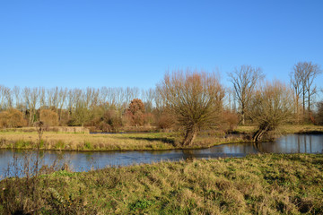 winterlandschaft am see in neuss hombroich