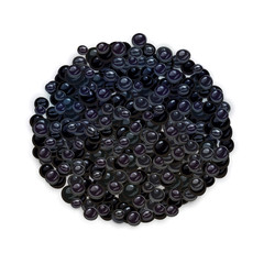 Vector black caviar isolated on white background
