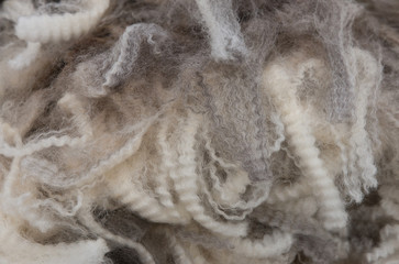 Staples of  merino wool