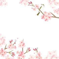 桜と鶯の背景イラスト