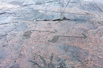 Ancient petroglyphs (rock engravings of 4th-2nd millennia BC) that depict duck and deer carved on granite Onega Lake shore. Besov Nos cape, Karelia Republic, Russia.
