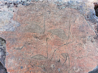 Ancient petroglyphs (rock engravings of 4th-2nd millennia BC) that depict duck carved on granite Onega Lake shore. Besov Nos cape, Karelia Republic, Russia.
