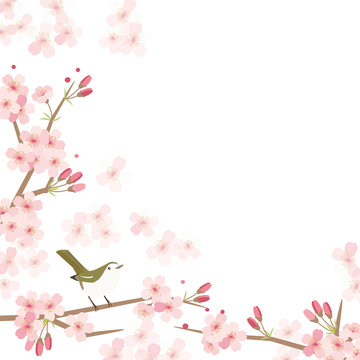 桜と鶯の背景イラスト