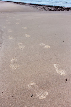 Human footprints on the sand by the sea