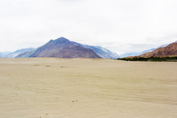 Natural landscape in Leh Ladakh
