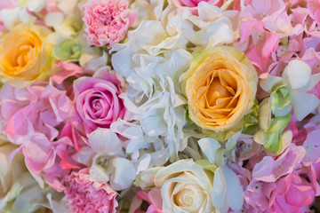  Flower background and wallpaper