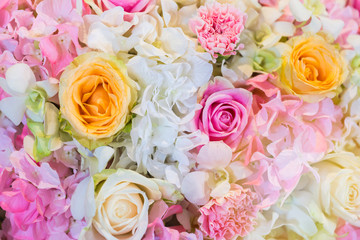  Flower background and wallpaper