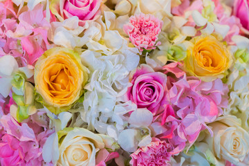  Flower background and wallpaper