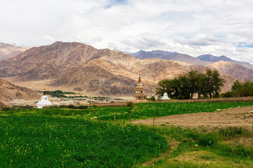 Natural landscape in Leh Ladakh