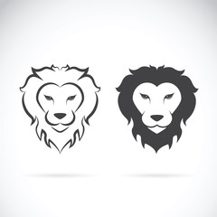 Vector of a lion head design on white background. Wild Animals.