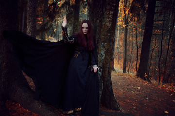 Young beautiful and mysterious woman in woods, in black cloak with hood, image of forest elf or...