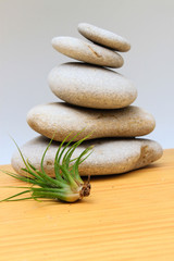 zen stones with aerial plant