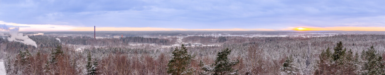 Winter panorama of landscape with trees and fields - sunset