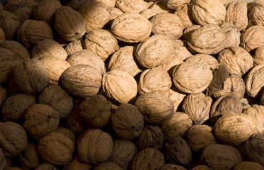 Frankreich. Aquitaine. Dordogne. Perigueux. Samstagsmarkt. Walnuesse aus dem Perigord. AOC.