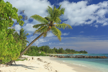 Beach in Praslin Seychelles