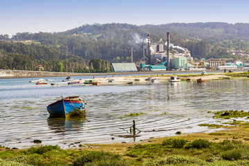 Cellulose pulp industry in Pontevedra estuary