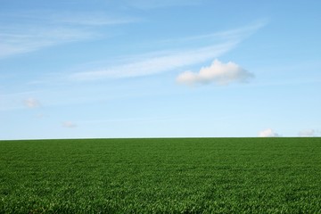 Hintergrund Himmel und Wiese