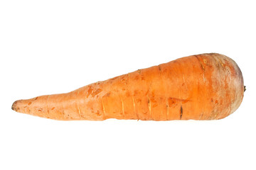 Carrot isolated on a withe background