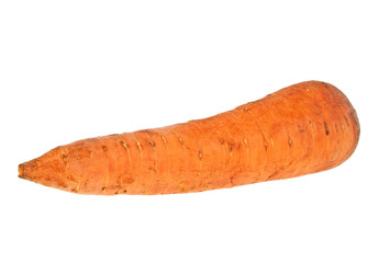 Carrot isolated on a withe background