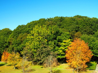 秋の公園風景