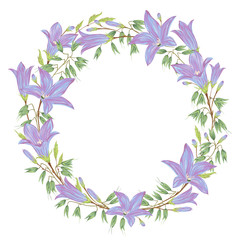 Wreath with blue bluebells flowers and oat. Collection floral design elements for wedding invitations and birthday cards. Isolated elements. Vintage vector illustration in watercolor style.