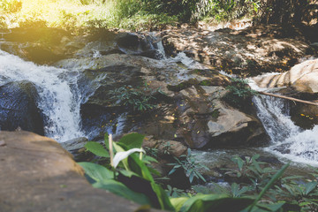 waterfall and creek in park