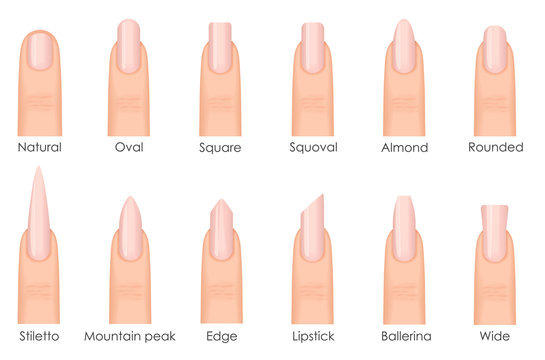 Different fashion nail shapes. Set kinds of nails. Fashion nails type trends. Beauty spa salon woman fingernails set.