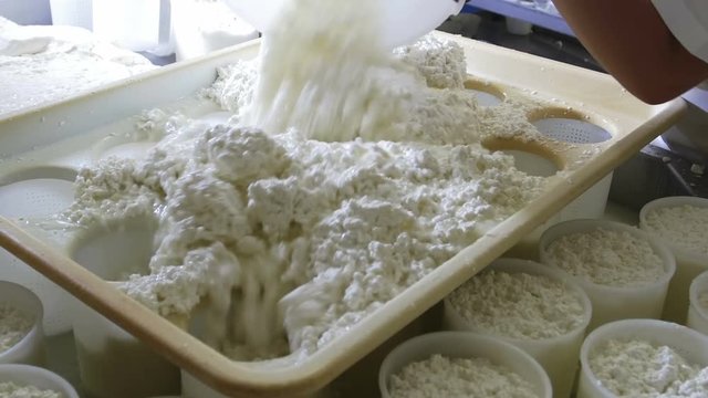Food Industry: Making Cheese In Dairy Factory, italian food, typical production