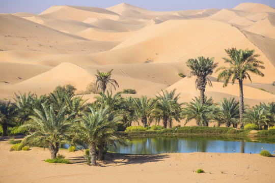 Remah Desert, Al Ain, Abu Dhabi