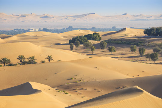 Remah Desert, Al Ain, Abu Dhabi