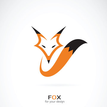 Vector of a fox design on white background. Wild Animals.