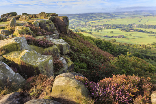 Baslow Edge, early autumn heather, view to Baslow village, Peak District National Park, Derbyshire