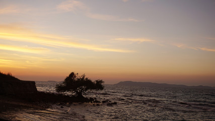 ocean sea beach sunrise with trees,  sea sunset