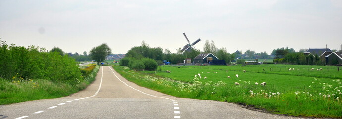 Dutch landscape with windmill