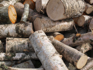 Pile of old birch firewood background