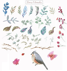 Hand-drawn watercolor set of the different floral elements: leaves, branches, bird, berries, etc. Natural decoration for design of greeting card, wedding invitation.