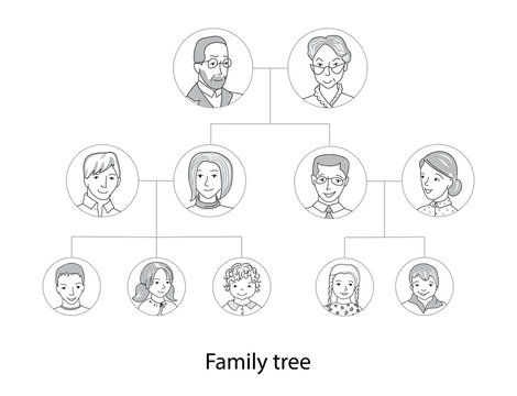 Family tree chart thin line style vector